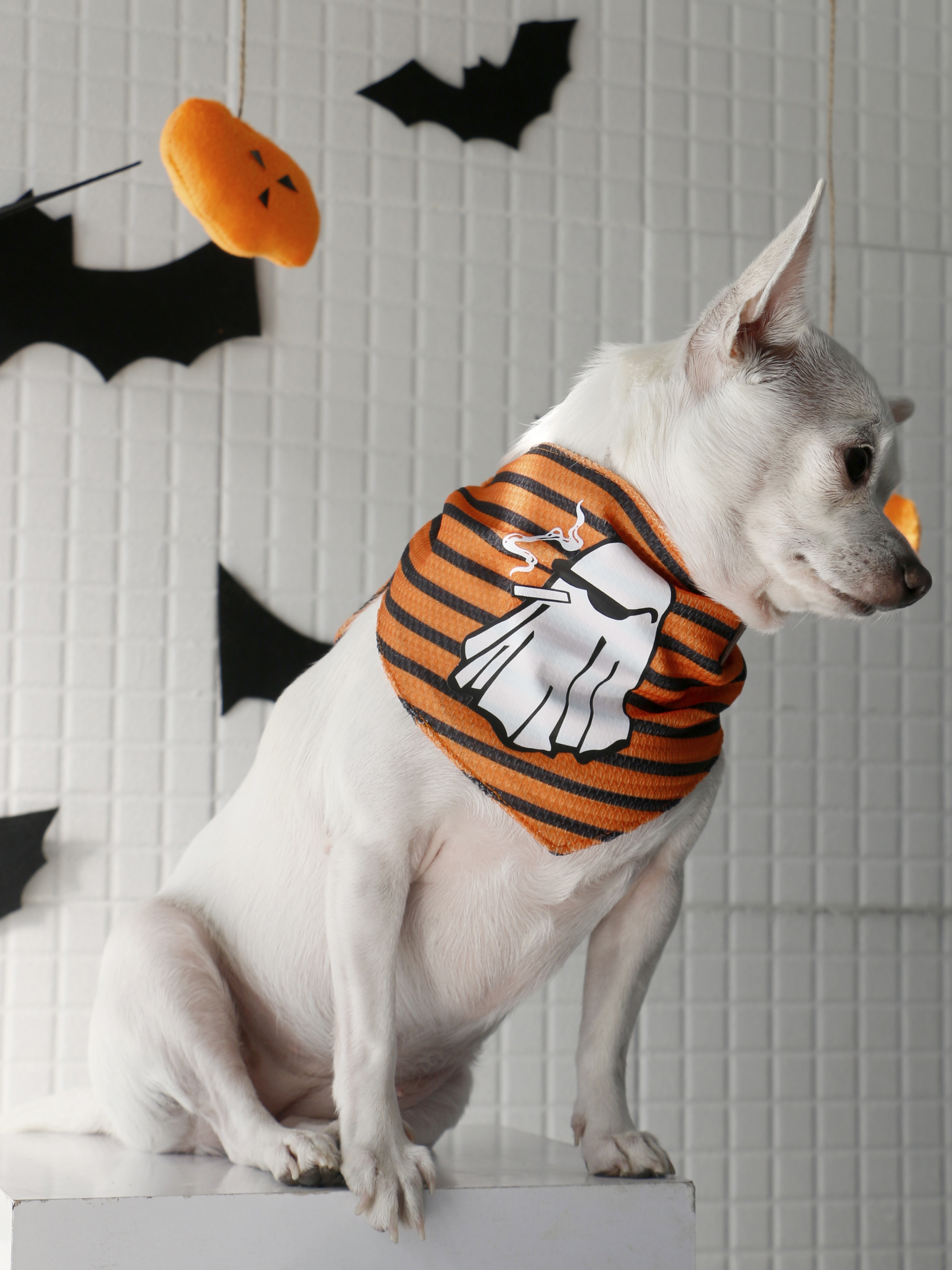 دستمال گردن سگ طرح هالووینی Smoking Ghost