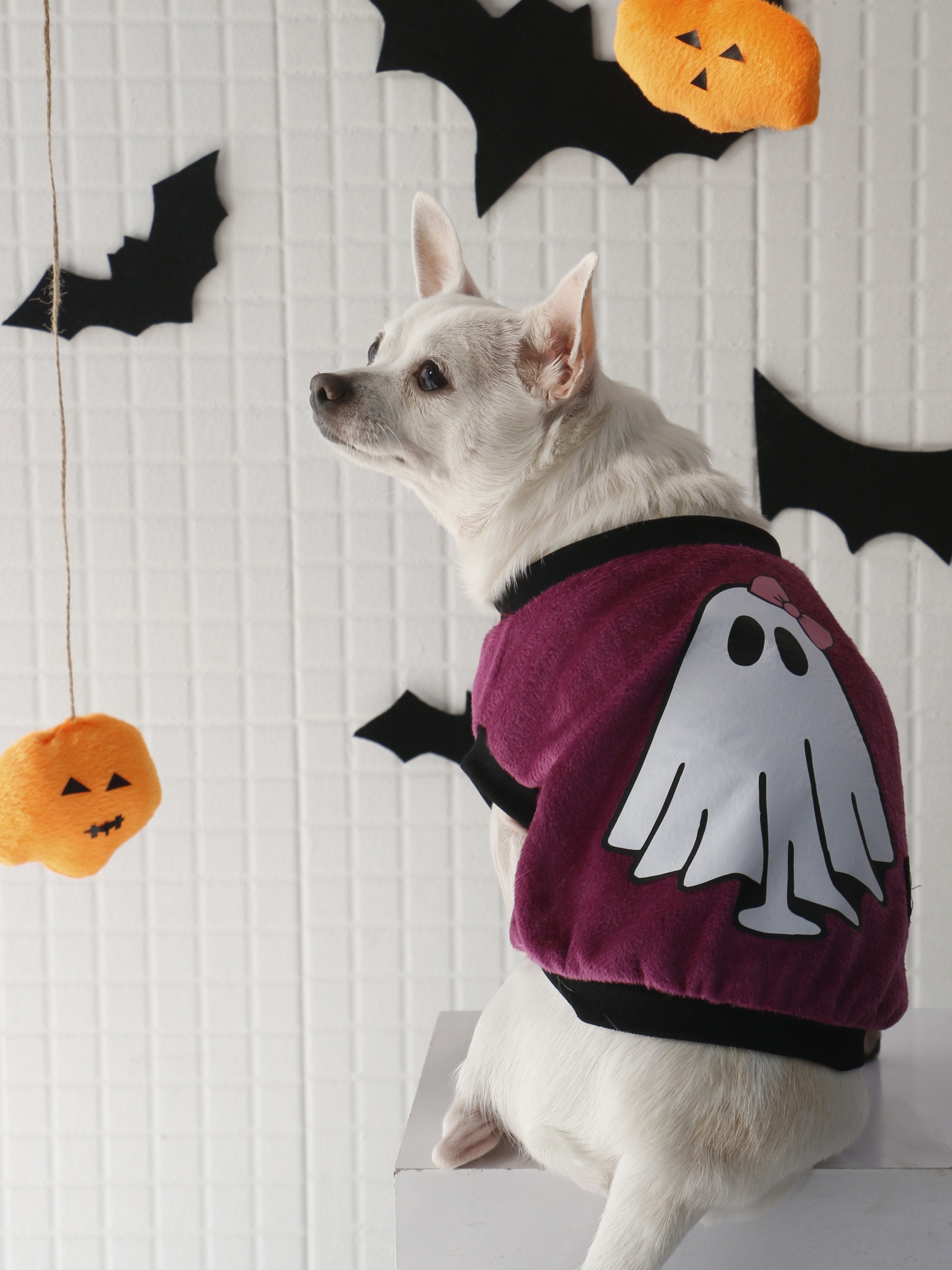 هودی سگ طرح هالووینی بنفش (دخترانه)